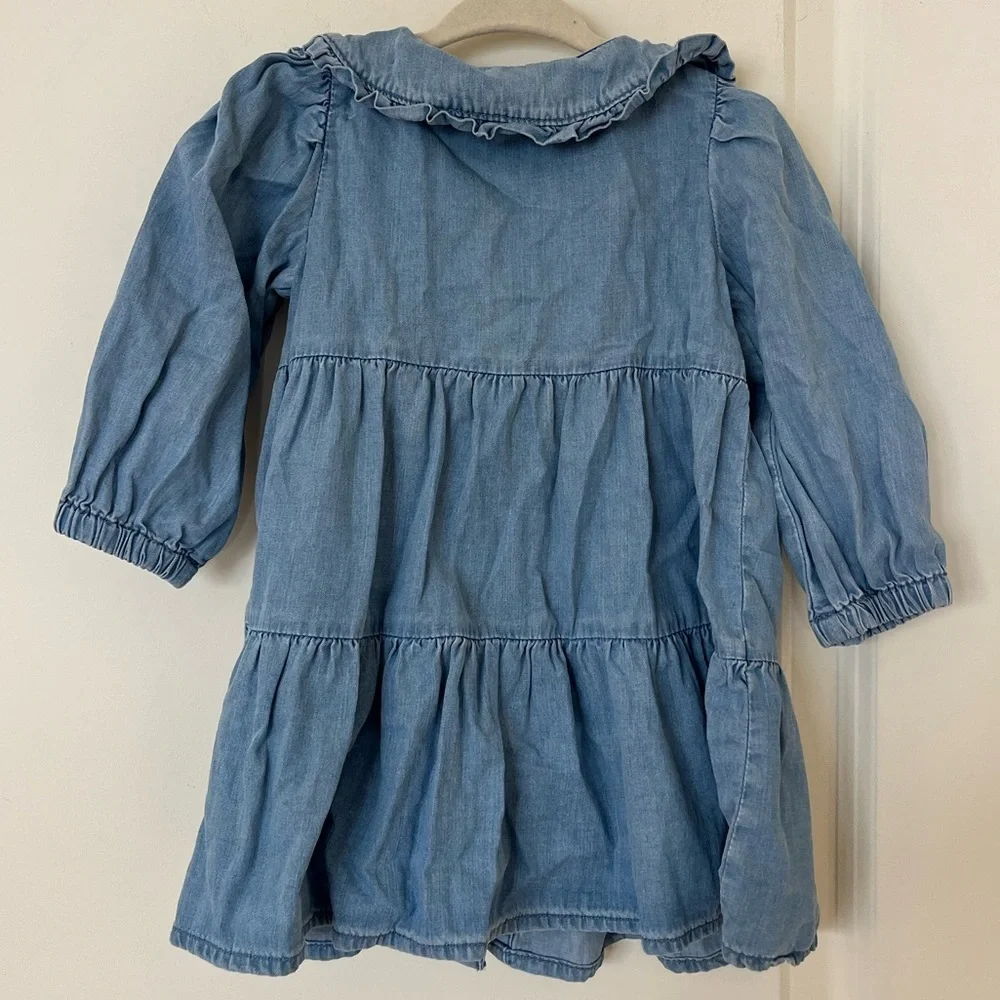 Janie and Jack Light Blue Denim Dress with Floral Embroidery